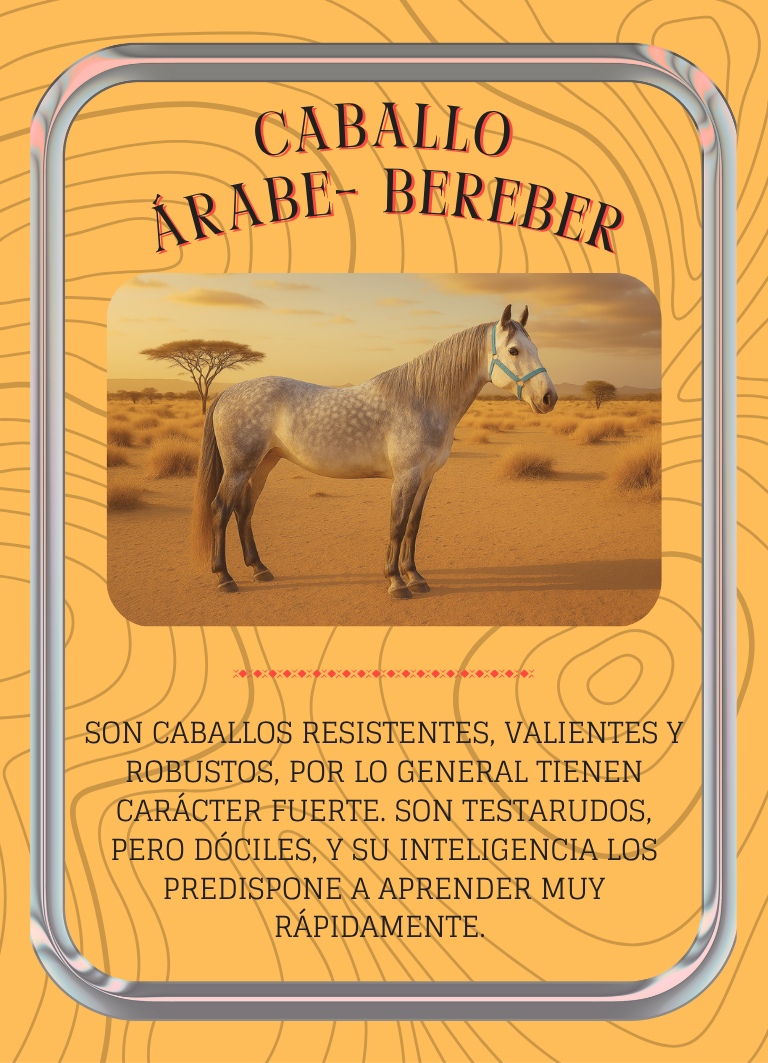 Árabe-Bereber