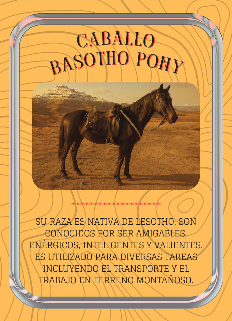 Basotho pony