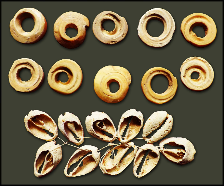 Moneda de Concha en Malí y África Occidental original