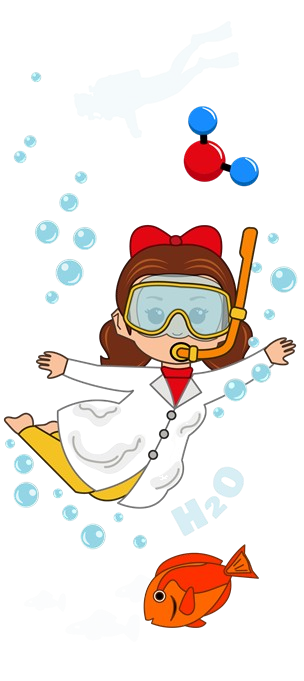 Decoración Izquierda