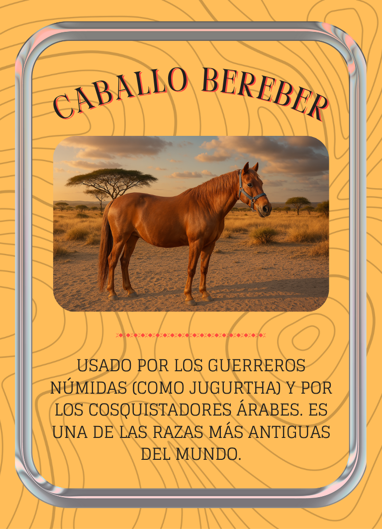 Bereber