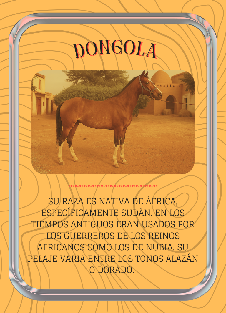 Dongola